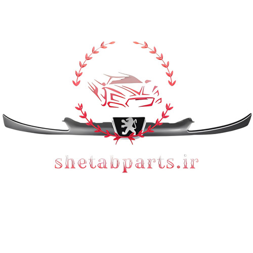 جلو پنجره 206 با تمام رنگ بندی ها