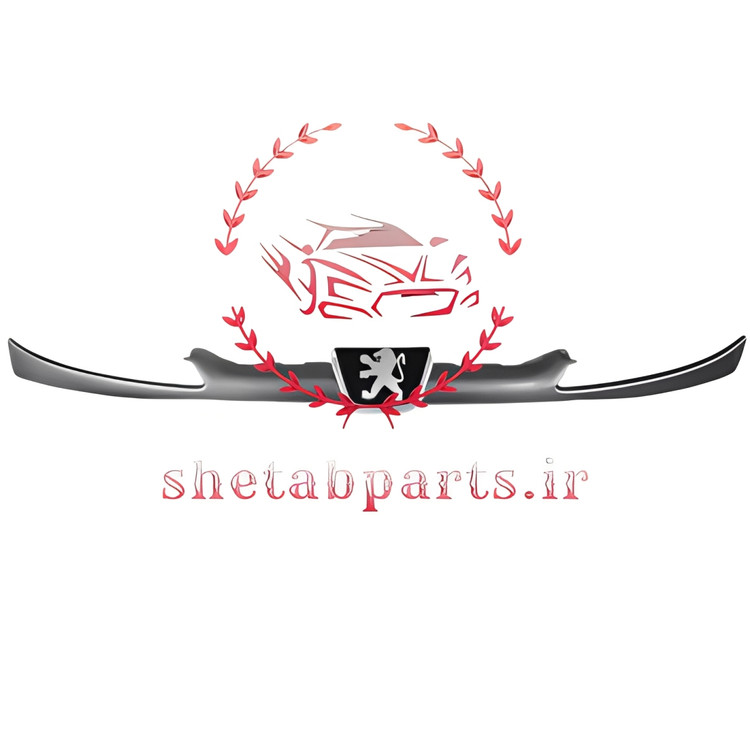 جلو پنجره 206 با تمام رنگ بندی ها