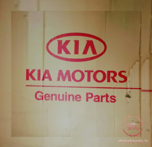 گلگیر اصلی عقب ریو سمت شاگرد برند کیاموتورز