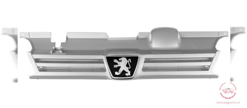 جلو پنجره 405 نقره ای